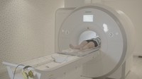 Секреты мозга с профессором Йовелем
