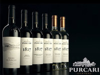 Элитные вина одной из самых знаменитых виноделен Purcari теперь  с доставкой на дом! 