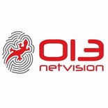 013 Netvision подводит итоги второго квартала 2008 года