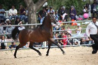 ���-�� ���������� �� �����